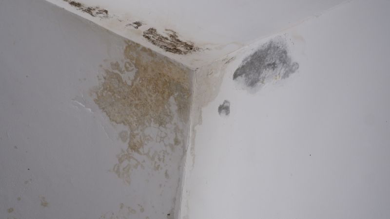 Wall Waterproofing